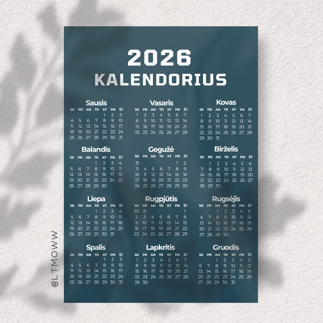 2026 m. Kalendorius „Ateities vizija 2026“ – Tavo metai viename žvilgsnyje
